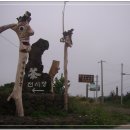 제주다원
