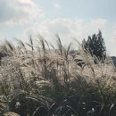 구불2-1길(미소길) 이미지