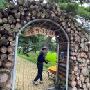 고추골솔바람마을 | &#39;농사는 잡초와의 전쟁이다&#39;_고추골솔바람마을_농활 후기, 소감