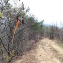 도당1리 이미지