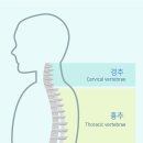 엘앤케이바이오