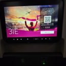 11650-17-132-3 | 카타르항공 도하공항 경유 유럽행 탑승 후기