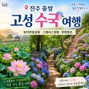 고성시니어클럽정담2 | [여행후기] 진주 출발 고성 수국·연꽃 하루 코스 (상리연꽃공원·그레이스정원·만화방초)
