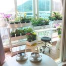 하트커피 이미지