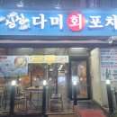 다미포차 이미지