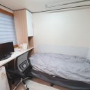 강남살이