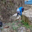 용호1로 이미지