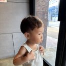 하바나포토라인