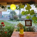 자연을 닮은 소박한 집 이미지