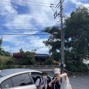 스테이솔 이미지