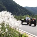 소구르마.경운기 이미지