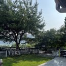 호반별장 펜션 독채 가족 단체 | [충북 제천] 청풍호 풍경 내려다보이는 가족 친구 단체 프라이빗한 복층 독채 '호반별장 펜션'