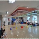 태랑태권도장 이미지