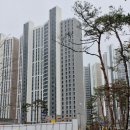 유성아파트 정문 앞 횡단보도 이미지