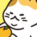 제주냥이