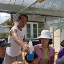 용일농장 이미지