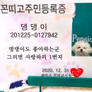 꼰띠고애견펜션 이미지