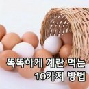 똑똑하게 계란 먹는 10가지 방법 이미지