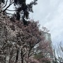 케이트영어교실