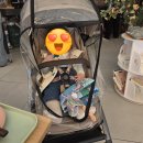 누빌 | 줄즈 에어2 유모차 내돈내산 후기 (대구 베이비하우스 구매)