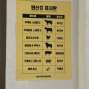 부산 송정 브런치 맛집 거루캥테이블 내돈내산 후기