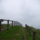 금성목장 이미지