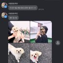 동물보육원 용인지부 이미지