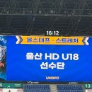 Friday Forest | 생일입니다