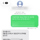 (주)셀비온 서울지사 | 서울에서 제주 이사 후기, 내돈내산 제주이사업체 추천! '제주트랜스' , 제주 차 탁송