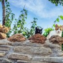 한국폴리텍 VII 대학 울산캠퍼스 이미지