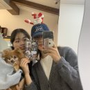 하미우 이미지