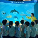 키즈 스토리텔러 네이버블로그