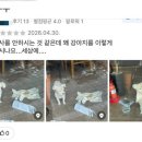 그맛집