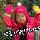 부교농장 이미지
