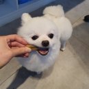 베테랑P&K 이미지