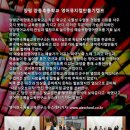 경기도 양평군 양동초등학교 이미지