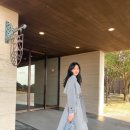 플레인23