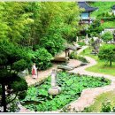 2019-주117 Daum카페