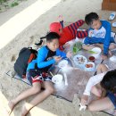 이일레민박 이미지