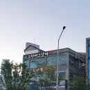 그린피그 이미지