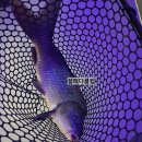 앵글러실내낚시터 이미지