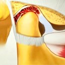 서울턱튼튼구강내과치과의원 이미지