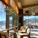 카페거기 이미지