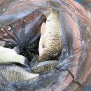 강태공낚시터 이미지