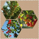 강현농장 이미지