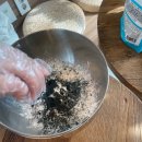 해피댕댕이 이미지