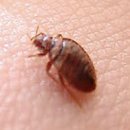 역곡약국 이미지