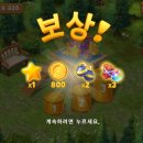 강아지정원 이미지