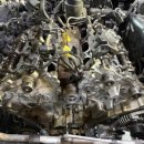 엠에스 모터스 이미지