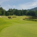 골프드래곤 이미지